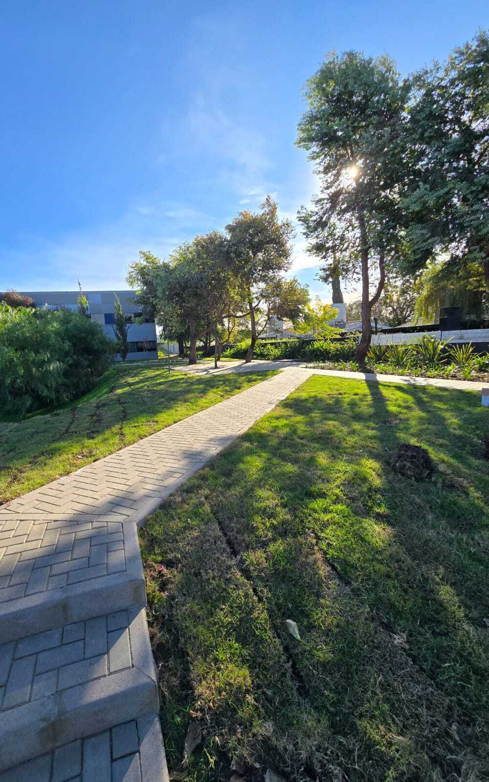 Parque empresarial con césped, árboles y adoquines — mantenimiento de espacios verdes en Córdoba