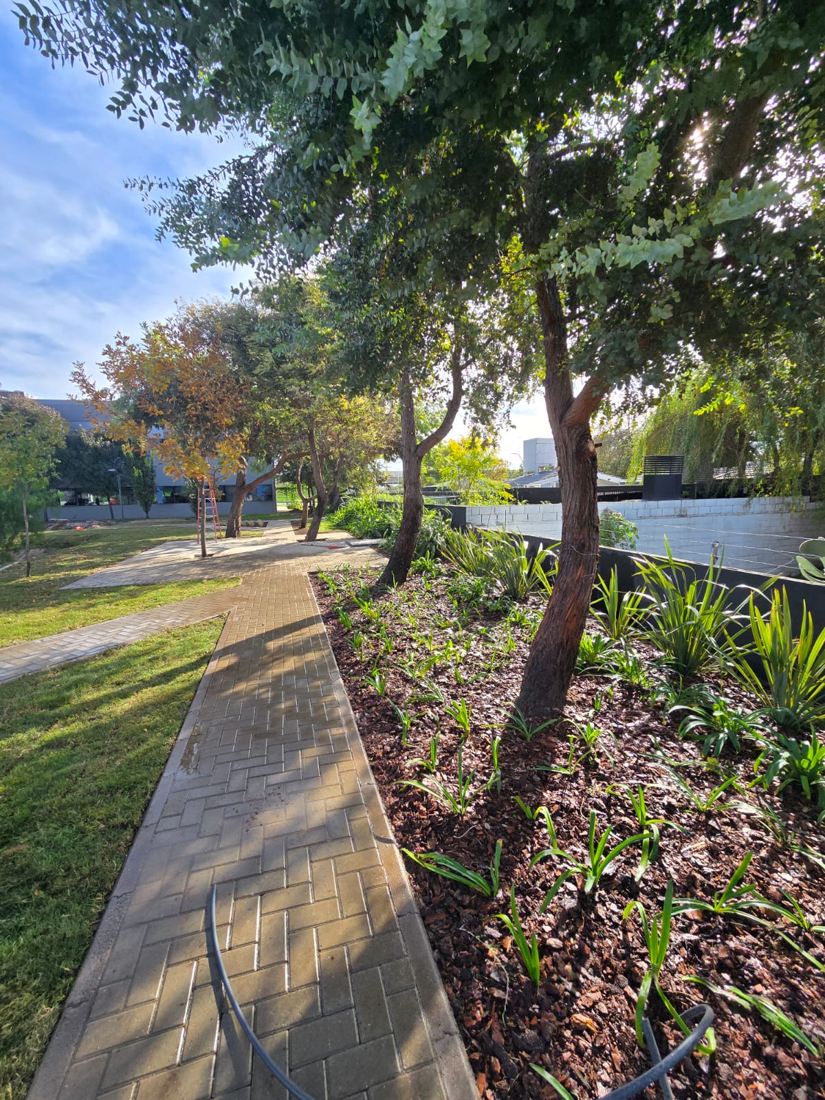 Corredor verde con árboles y ornamentales — mantenimiento de espacios verdes en empresa cordobesa