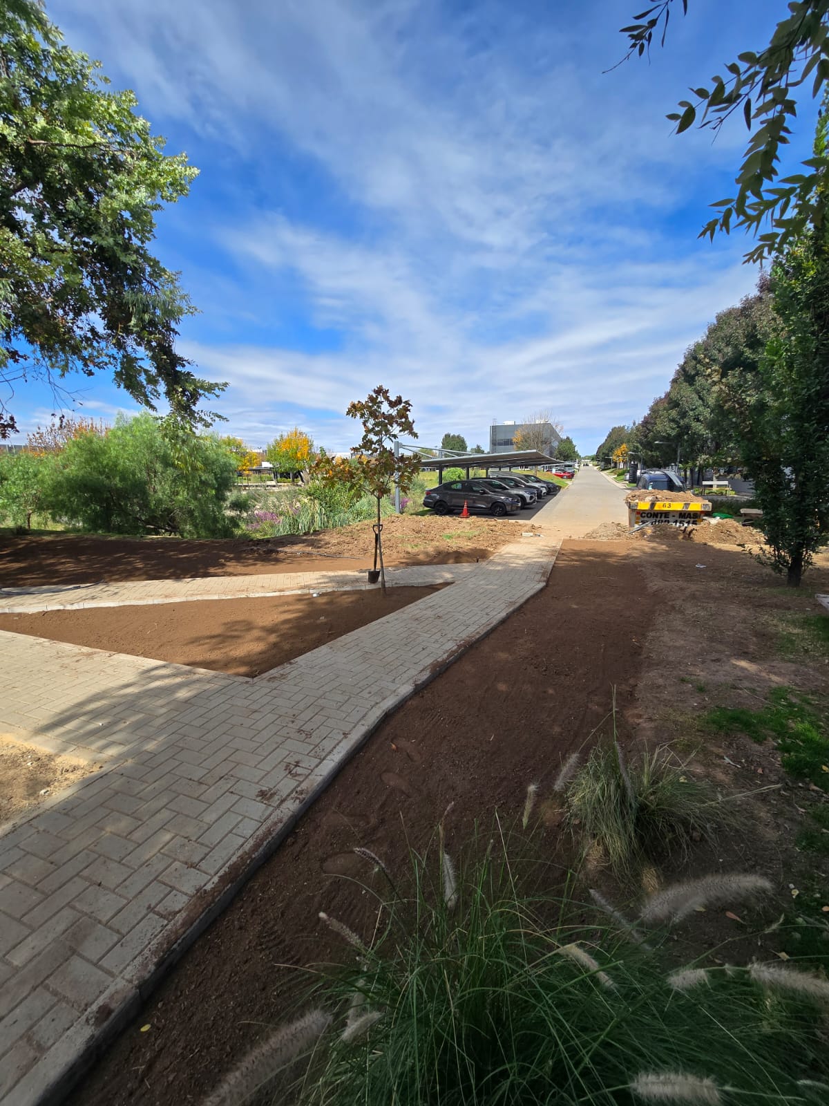 Preparación de suelo y plantación de árboles en espacios verdes de empresa · Córdoba